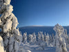 Lapland Photo Workshop Sign-Up
