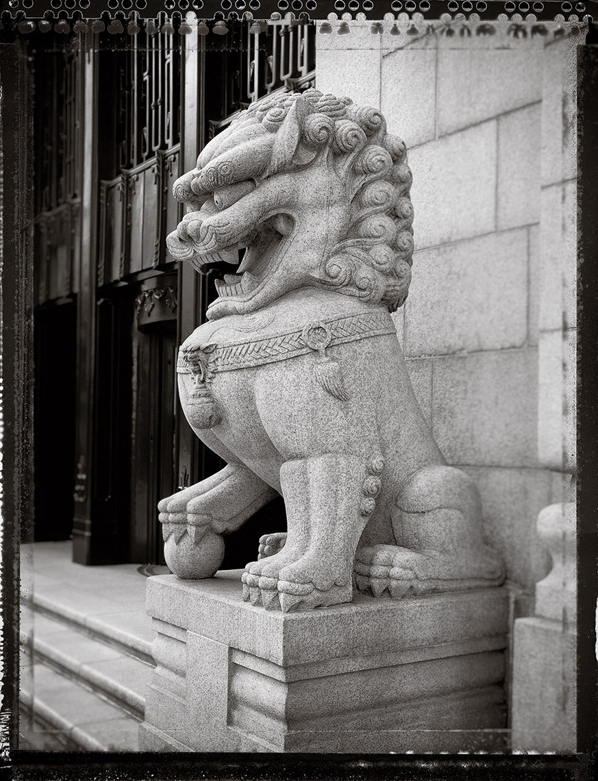 Door Lion for Christmas