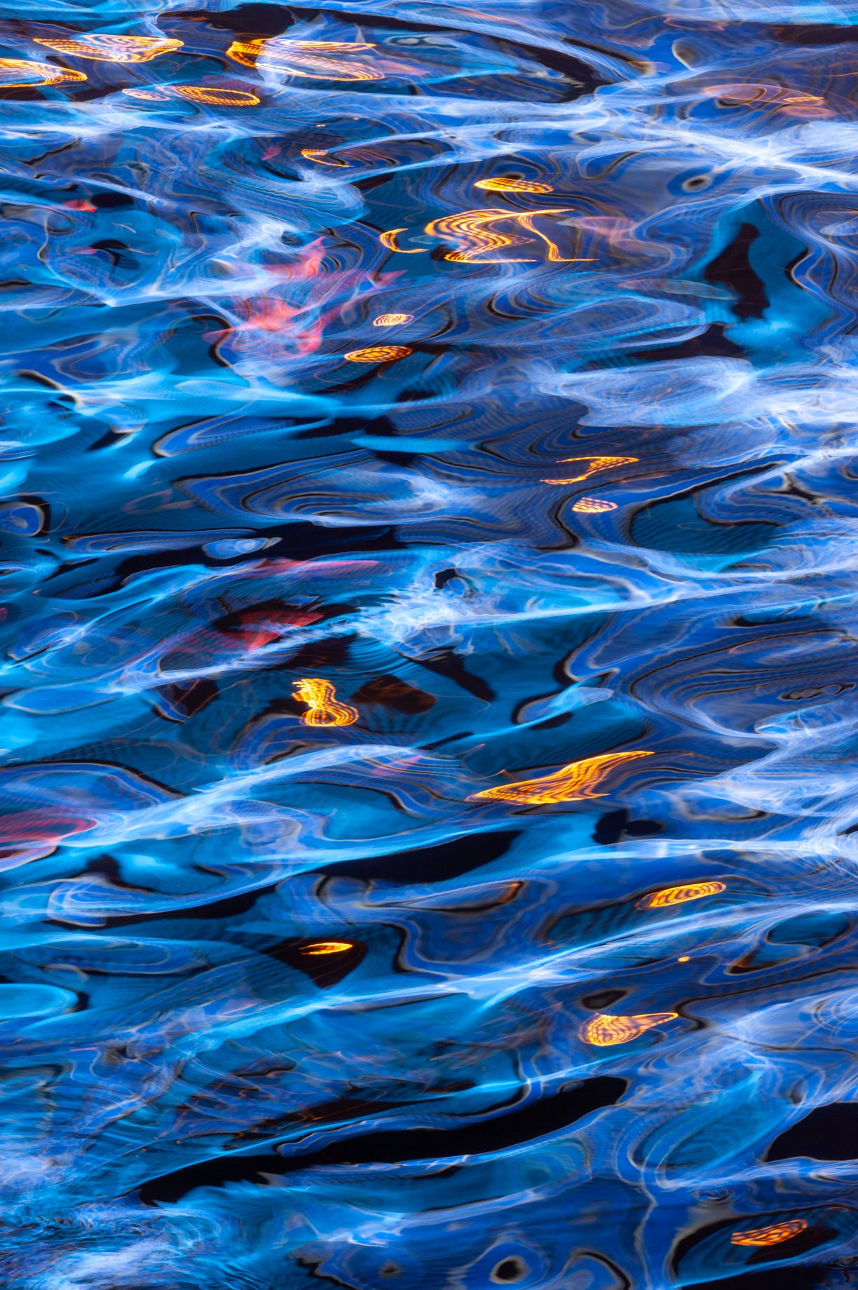 Causeway Bay Typhoon Shelter at Night - Special Collection