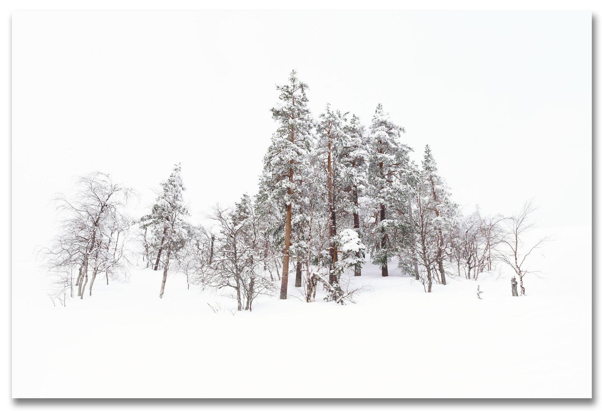 Last stand - Pirinkuru, Finland