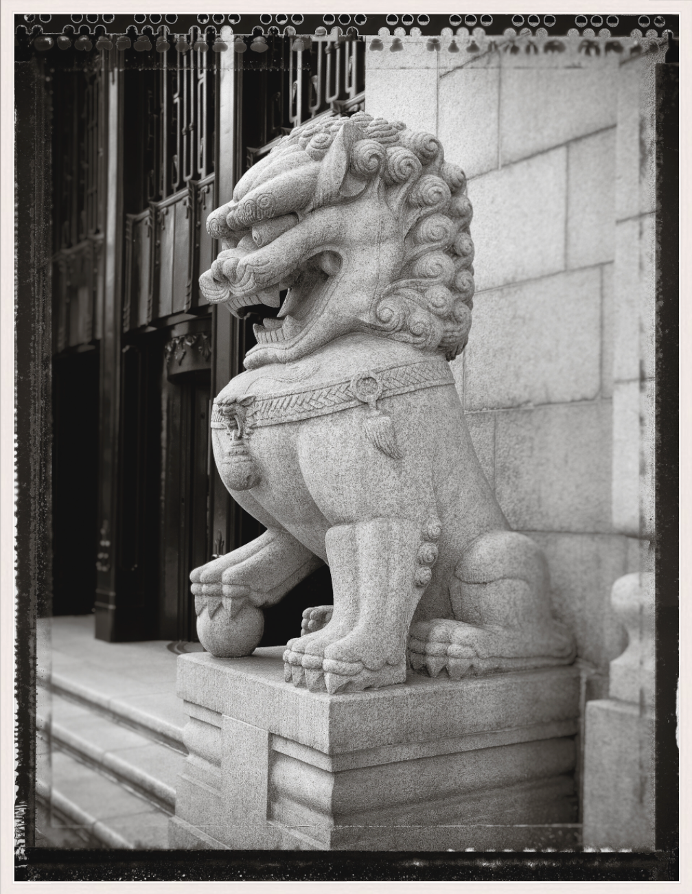 Door Lion for Christmas