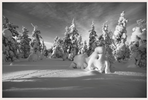 Snowman - Arctic Circle, Finland for Christmas