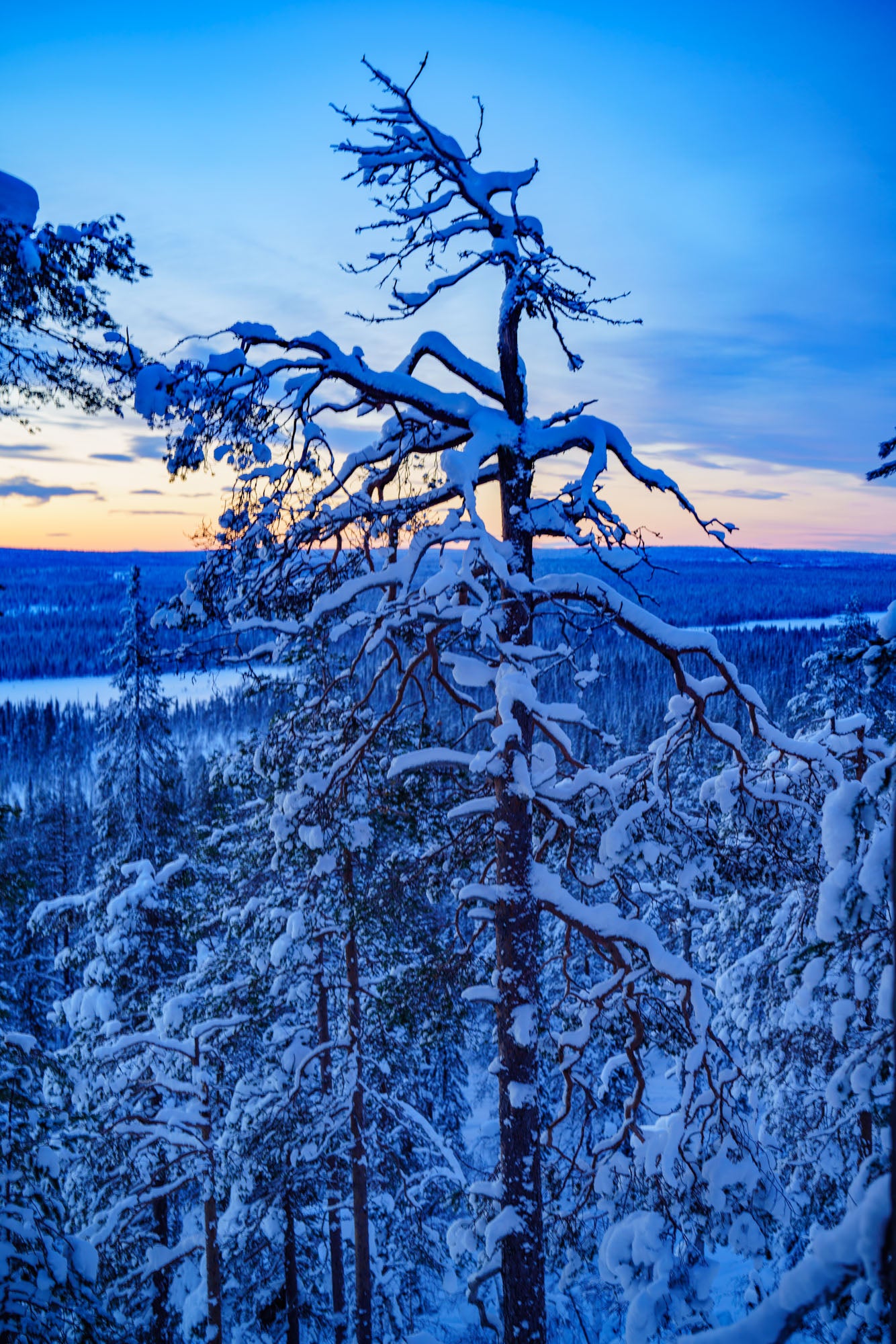 Into the Polar Night - Arctic Photo Quest - Winter 24/25