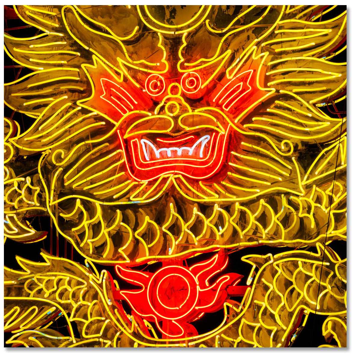 Jumbo Neon Dragon - Special Collection