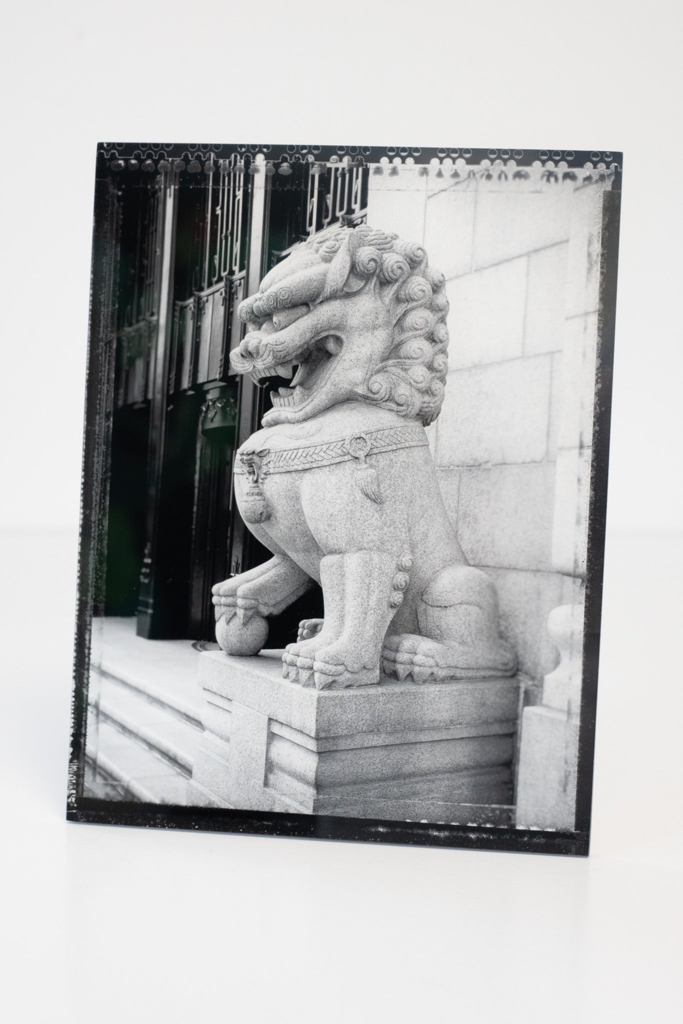 Little Slice of Hong Kong - Door Lion