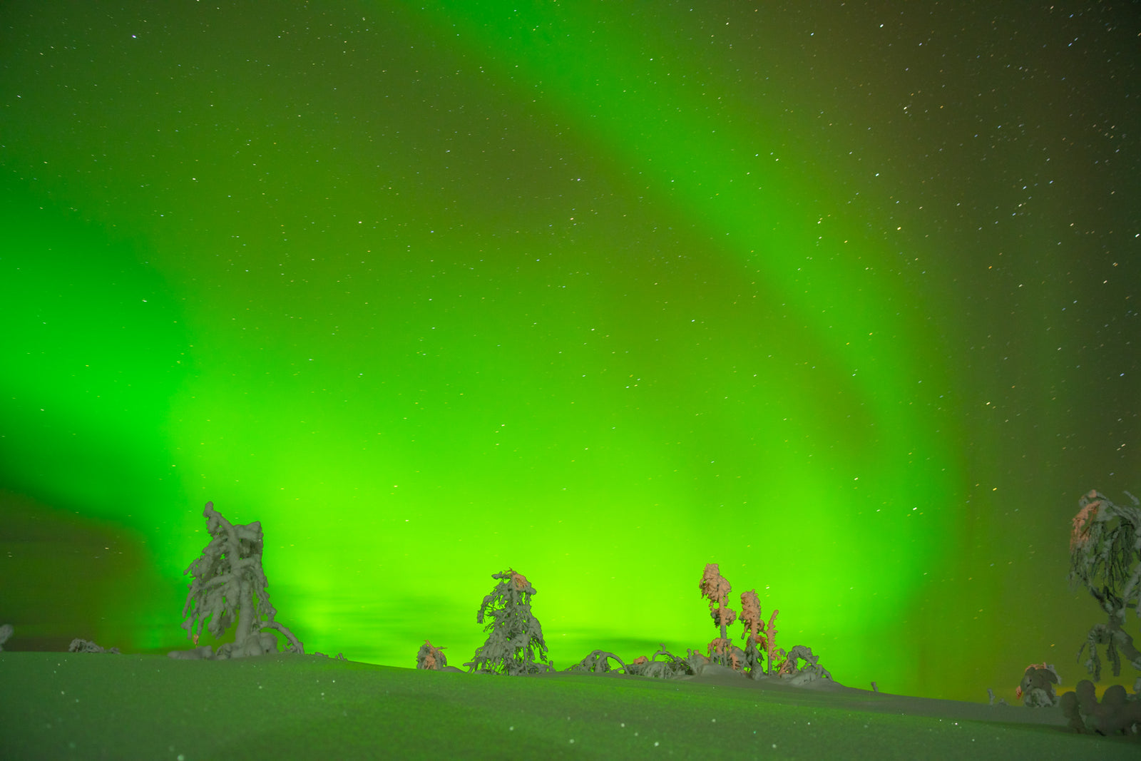 Northern Lights #1, Ylläs, Finland