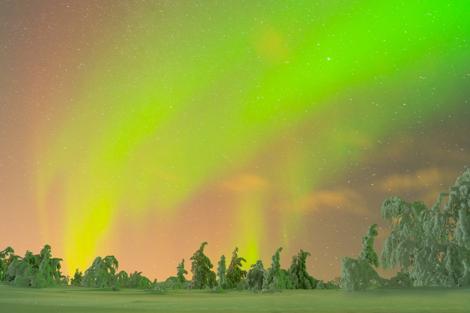 Northern Lights #2, Ylläs, Finland